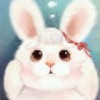 兔牙新🐰