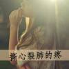 小蛋白