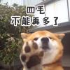溜溜梅