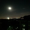 来一个腿堡