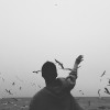 洛一.