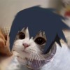 轴月