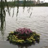 绵 绵