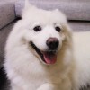 Wink