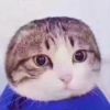 迷糊念⁰⁶²⁰