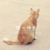 龙颖