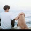 吴雨彤不同-
