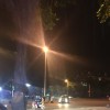 努力生活的乱宁