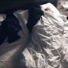 优凡丶蛇蛇大帝