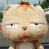 小九公主病