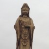 怡怡酱O