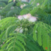 随风丶一一一
