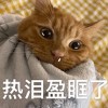 小谗喵吖