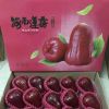 思瑜大帅哥