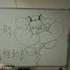 小九要發财