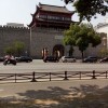 只要敢针对我统统镇杀
