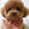 拐拐吃饱饱