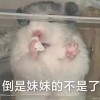 枪神纪立华奏