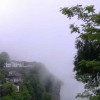 鱼塘-惊奇境遇