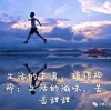春风十里听雨眠