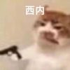 鱼小七7