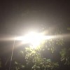 永远爱宝儿姐的黑粉