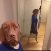 玉玉猪精不许跑