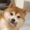 哪有再繁华
