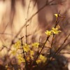 飞机【嘴硬怪】