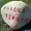 诺米-酷萱