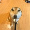 天上人间【时光】
